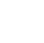 DAVE WINS