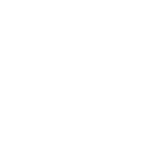 DAVE WINS